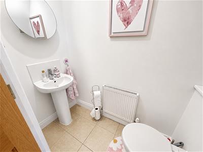 Picture 17